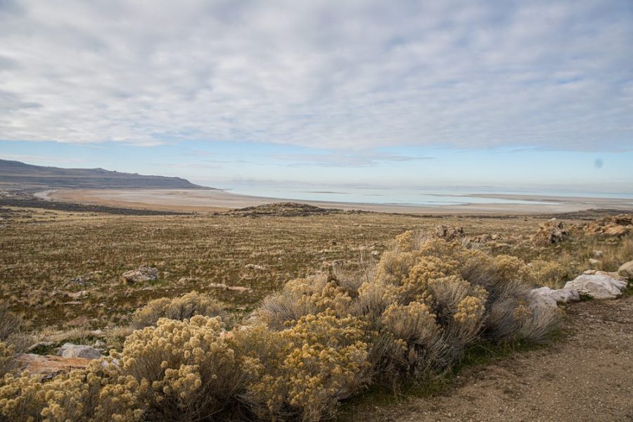 Featured image for “3 ways we’re working to preserve Great Salt Lake”