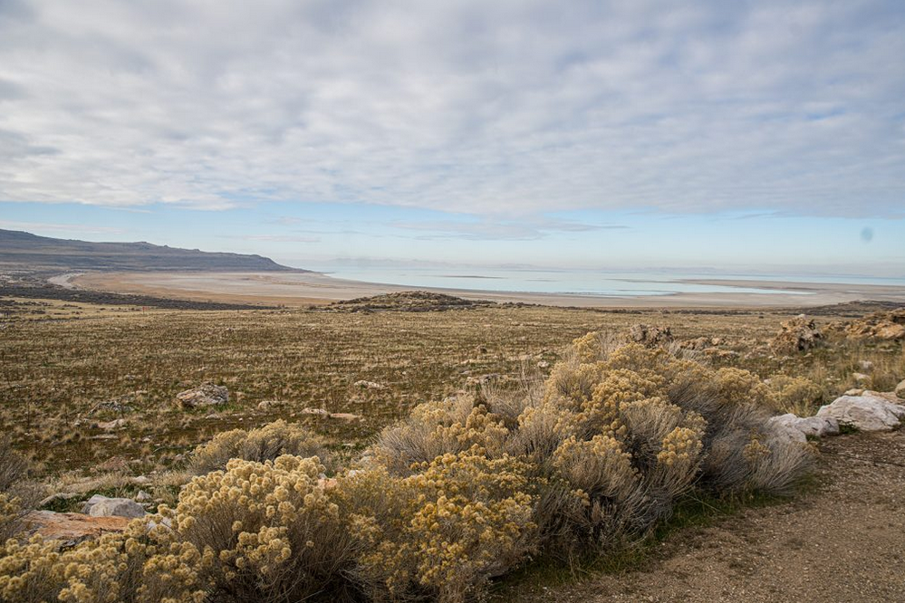 Featured image for “Utah’s Ongoing Response to Drought”